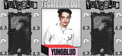 16oz Star Singer-O 536